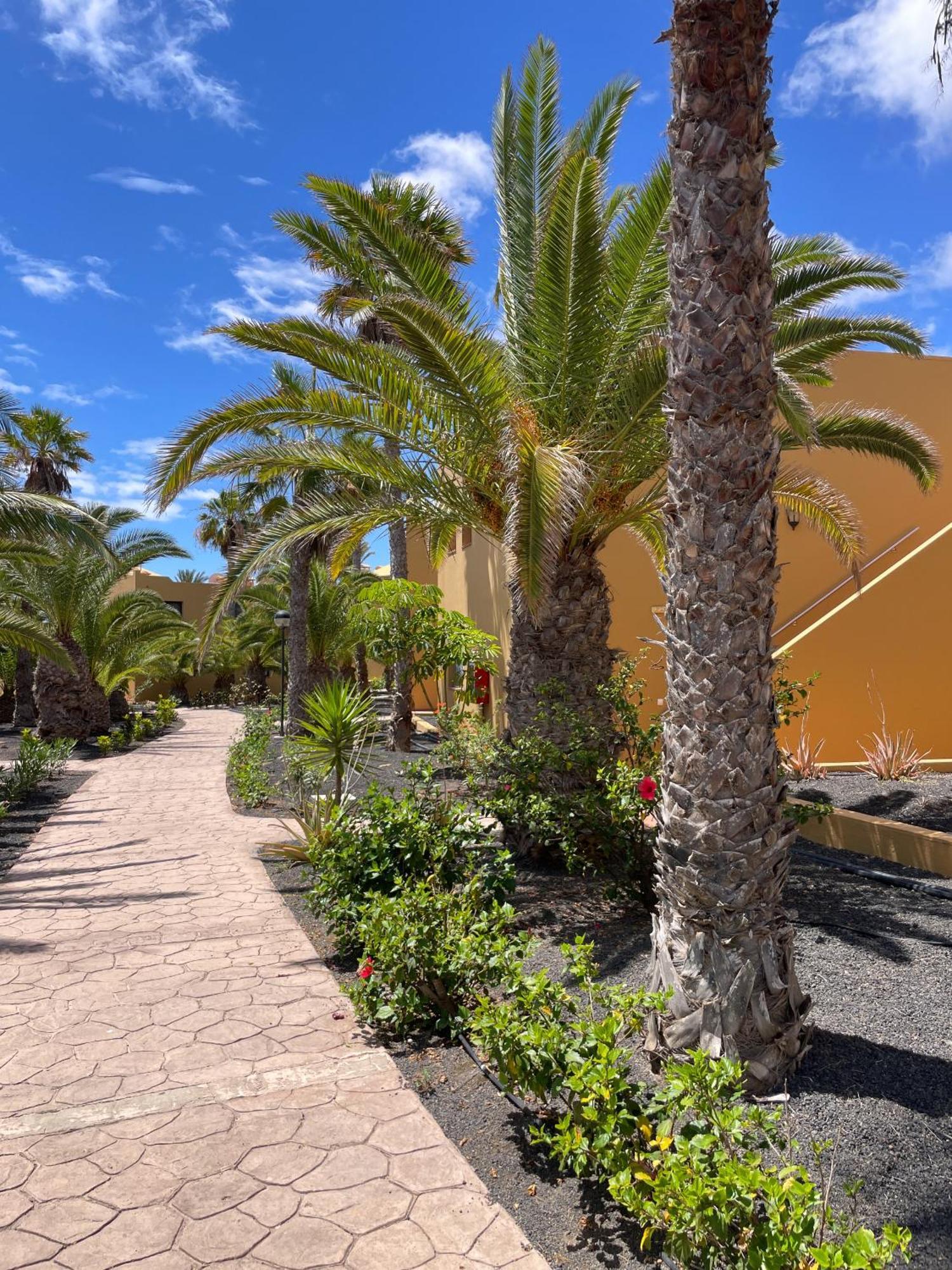 B-Rent Casa Angela Pool View Διαμέρισμα Κοραλέχο Εξωτερικό φωτογραφία