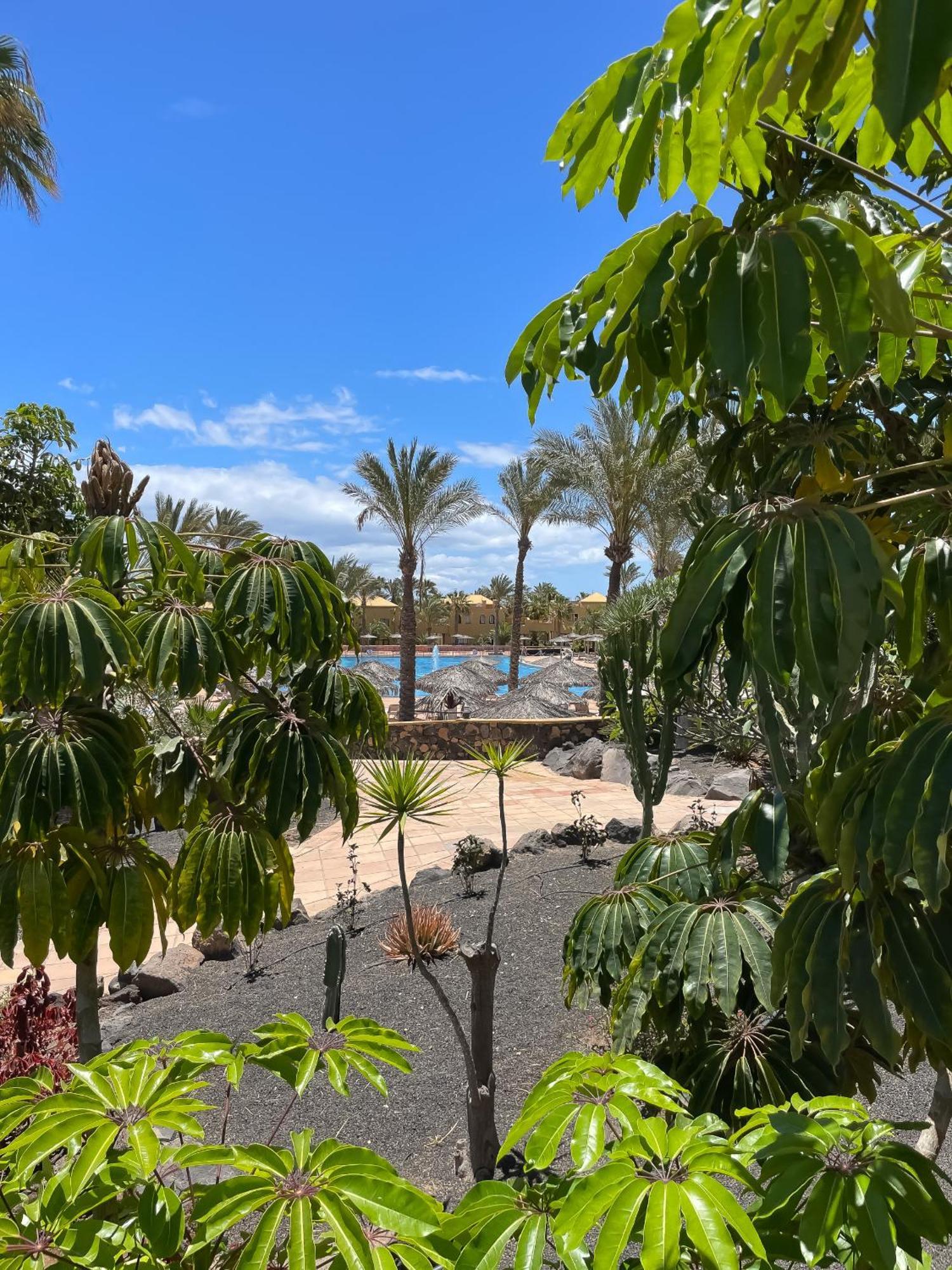 B-Rent Casa Angela Pool View Διαμέρισμα Κοραλέχο Εξωτερικό φωτογραφία